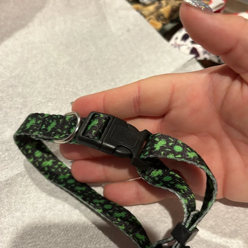 Medium - Large Halloween Dog or cat collar